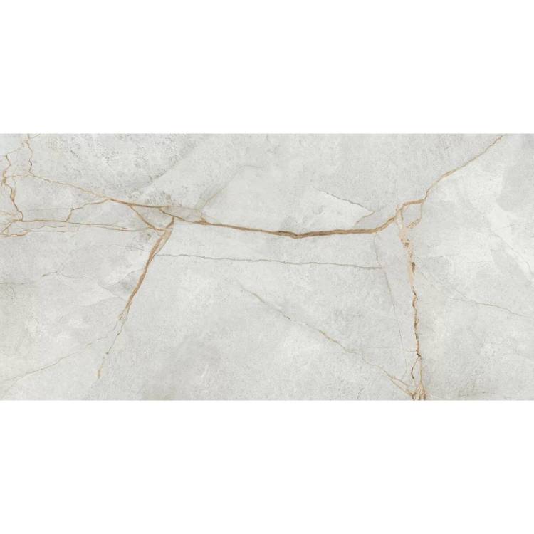 Керамогранит LCM Special Marmo 60120PEC15P Gray Полированный 60x120