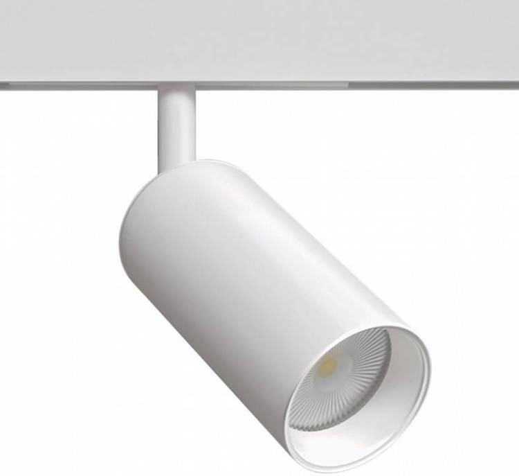 Потолочный светильник Arte Lamp Linea A4691PL-1WH