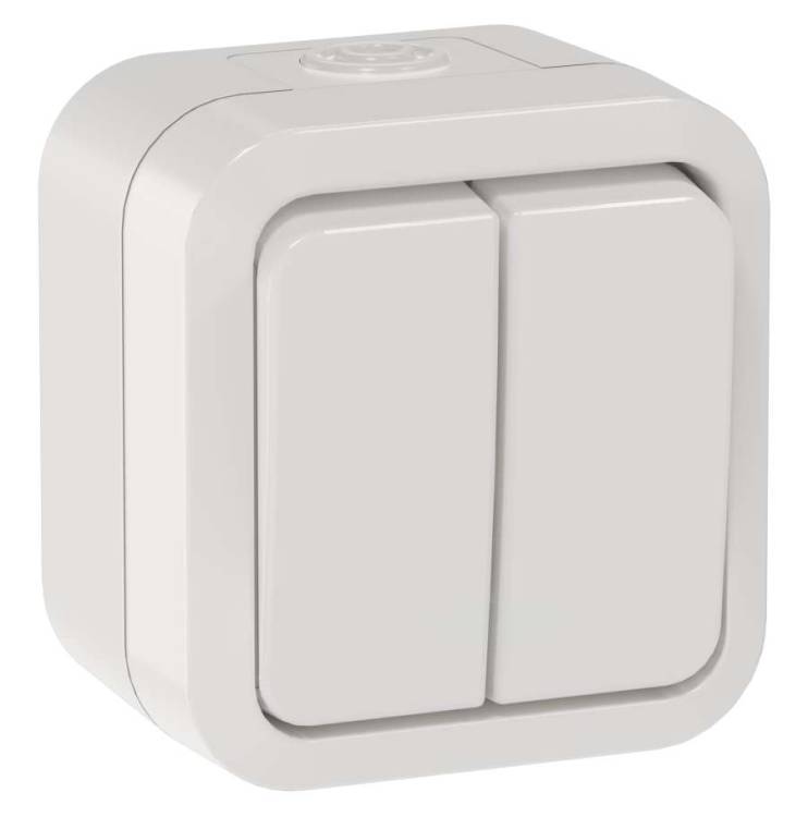 Выключатель 2-клавишный проходной IEK Tors TS-V22-0-10-55-K01 белый