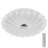 Настенно-потолочный светодиодный светильник Lightstar Arco Shell 225660 фото 5