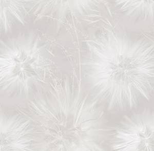 Обои Victoria Stenova Amazing 286812