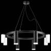 Подвесная люстра Lightstar Rullo LR0188743640 фото 3