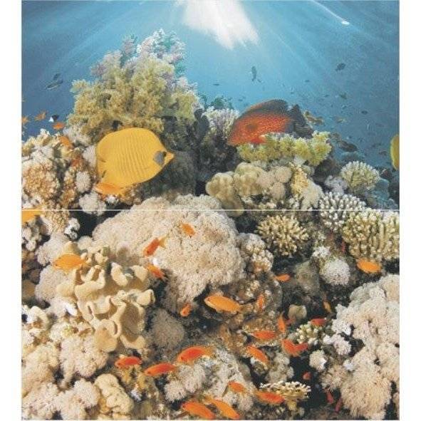 Панно Ceradim Corals Dec Panno (к-т 2 шт) 45x50