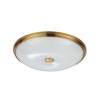 Потолочный светильник Odeon Light Walli Pelow 4956/5