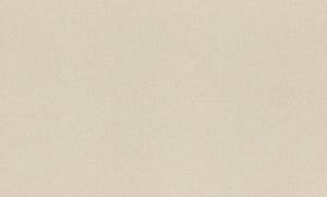 Обои виниловые Rasch Vitrage 975543