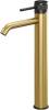 Смеситель для раковины Allen Brau Priority 3.0 5.31A02-GB31 высокий, золотой, черный