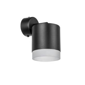 Настенно-потолочные светильники Lightstar Rullo RBX348780