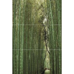 Панно Keros Ceramica Varna Bambu D/E/F 50x75