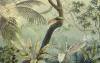 3D Фотообои Artegrafico «Птица в солнечных тропиках» TP-046 песок