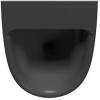 Писсуар GSI Community 769526 черный матовый фото 2