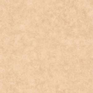 Обои Caselio Beton 2 101482446