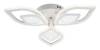 Потолочная люстра Escada Anise 10288/6LED фото 4