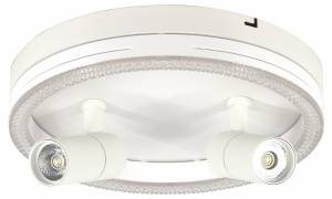Потолочный светильник Escada 20044SMA/03LED WH