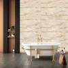 Керамогранит Belleza RS 156 IVORY CARVING 60x120 фото 6