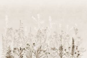 3D Фотообои Artegrafico «Светлые полевые травы в тёплых тонах» HRB-054 акварель