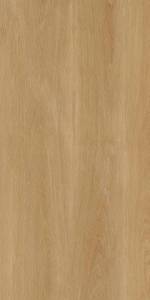 Керамогранит Protiles Albero PT12F7041 Beige 60x120