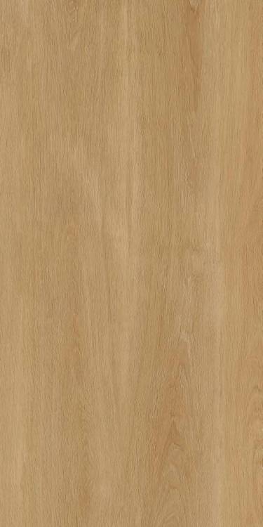 Керамогранит Protiles Albero PT12F7041 Beige 60x120