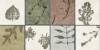 Керамическая плитка Global Tile Delia GT234VG Мультиколор 30x60 фото 6