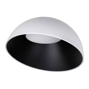 Потолочный светодиодный светильник Loft IT Egg 10197/500 WB