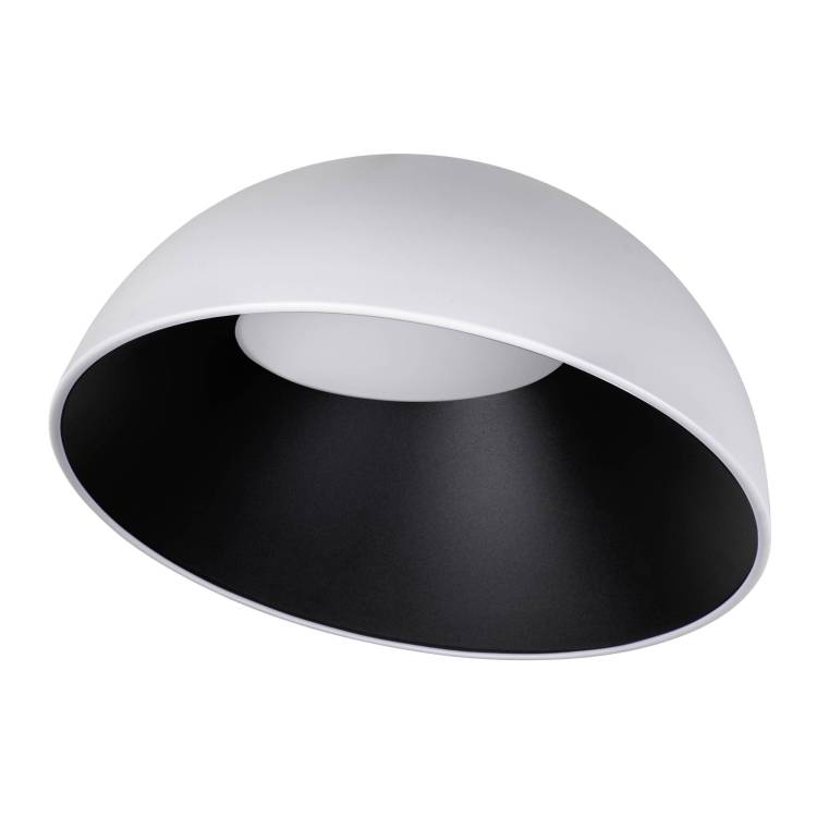 Потолочный светодиодный светильник Loft IT Egg 10197/500 WB