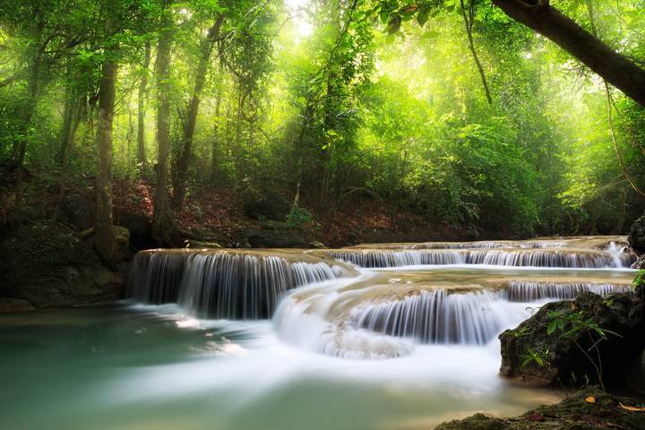 3D Фотообои Artegrafico «Водопад в солнечном лесу» V004 акварель