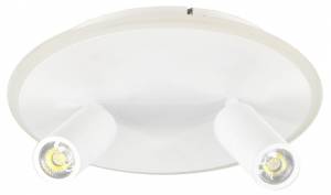 Потолочный светильник Escada 20046SMA/02LED WH