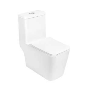 Унитаз-компакт Royce Bronx RCT-152002WH безободковый, сиденье микролифт, белый