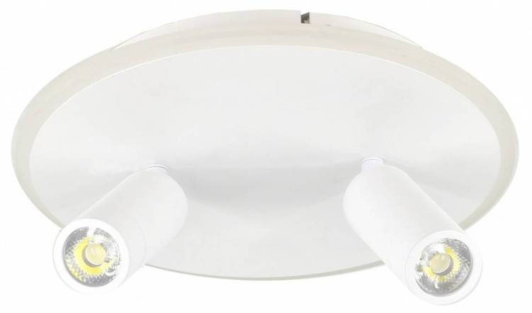 Потолочный светильник Escada 20046SMA/02LED WH