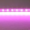Светодиодная лента Lightstar 420512 фото 2