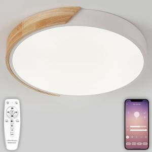 Потолочная люстра Natali Kovaltseva Scandinavian LED LAMPS 81181