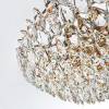Подвесная люстра Modelux ML.2363.24 GD фото 5