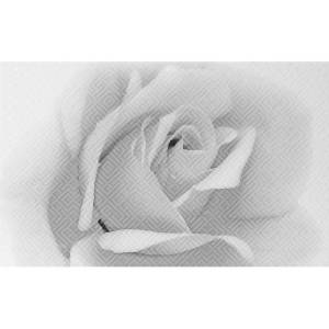 Декор Шахтинская плитка Камелия 10301001885 Черн 02 25x40