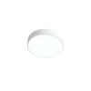Потолочный светильник Zortes Tortty ZRS.02564.36 фото 2