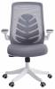 Кресло компьютерное Chairman Chairman CH565 00-07146049, 7146049 Белый/Серый фото 2