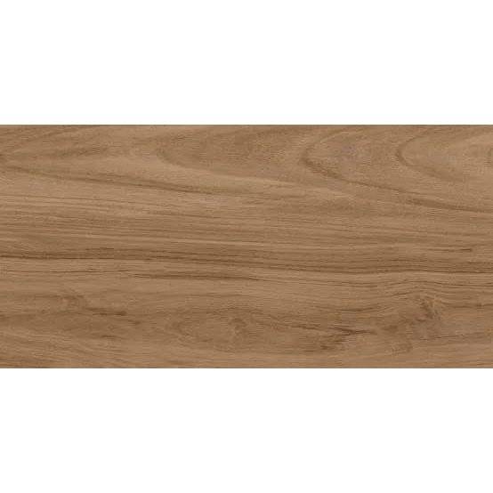 Керамогранит Lasselsberger Ceramics Шварц 6260-0196 Натуральный 30x60