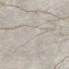 Керамогранит Atlas Concorde Russia Empire 610010002180 Silver Root Rett / Сильвер Рут Рет 80x80 фото 2