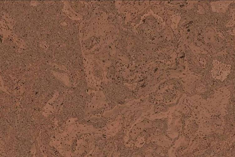 Пробковое покрытие IberCork Толедо маррон 6 VG Клеевое c Лаком 600x300x6