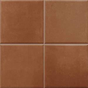 Керамическая плитка Vilar Albaro Terre Tandoori 10x10 20x20