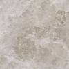 Керамогранит Gardenia Orchidea Esedra 2.0 G0076G002 Grigio 80x80