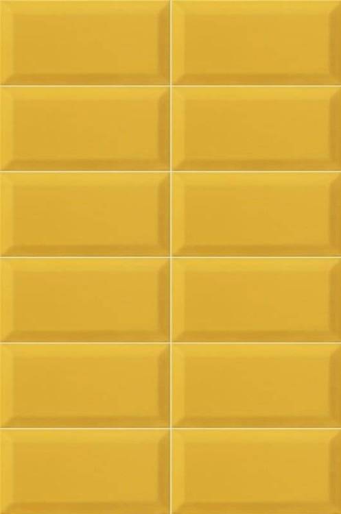 Керамическая плитка Mainzu Plus Bissel Tiger 20x10