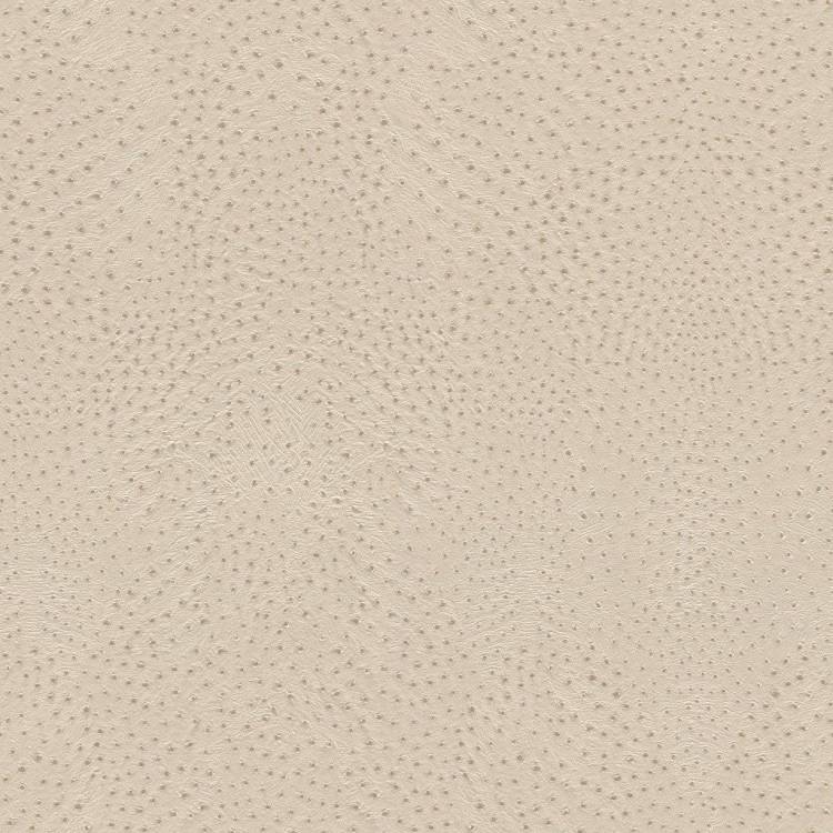 Обои флизелиновые Rasch African Queen Iii 751512
