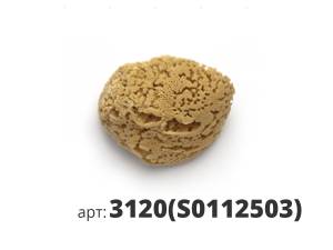Губка морская натуральная Pavan Spugna Naturale 3120 (S0112503)