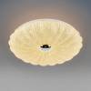 Настенно-потолочный светодиодный светильник Lightstar Arco Shell 225650 фото 2