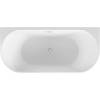 Акриловая ванна Black&White Swan 116SB00 170x80