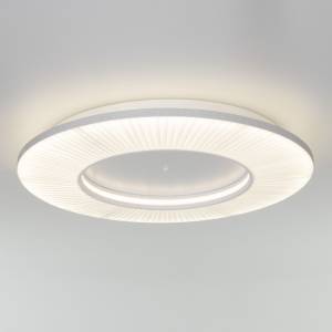 Потолочный светодиодный светильник Eurosvet Kreis 101003 LED белый