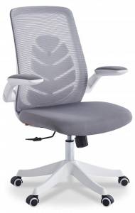 Кресло компьютерное Chairman Chairman CH565 00-07146049, 7146049 Белый/Серый