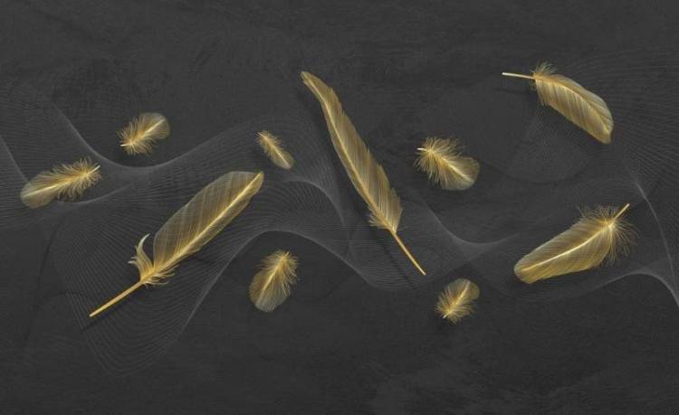 3D Фотообои Artegrafico «Невесомый поток на графитовом фоне» PL-074 канвас