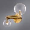 Бра Arte Lamp Albus A7780AP-2AB фото 3