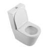 Унитаз-компакт BelBagno Flay-R BB2149CPR/SC/BB2149T безободковый, сиденье микролифт фото 2