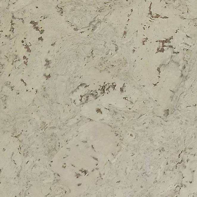 Пробковое покрытие IberCork Леон крем 6 SG Клеевое 600x300x6